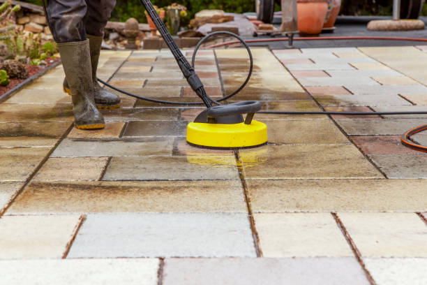 Best Animal Enclosure Cleaning  in Bliss Corner, MA